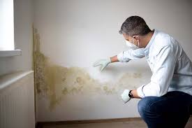 Mold Remediation for Rental Properties in Tahoe Vista, CA